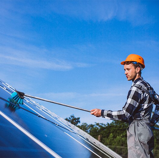 Professional roof cleaning service removing algae and stains